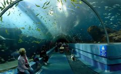 世界上最大的水族館排名，中國(guó)有兩處上榜