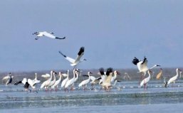 中國十大淡水湖大小排名，江蘇獨(dú)占三席