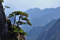 黃山市有什么好玩的景點？黃山市十大旅游景點排名