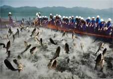 世界四大漁場是指哪些漁場？北海道漁場位居第一