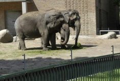 全球10大最神奇的動物園，中國入榜一個！