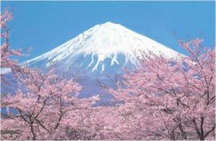 日本最美的自然風光：富士山奪冠，你去過幾個？