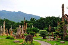 深圳十大城市公園：園博園入榜，仙湖植物園居榜首