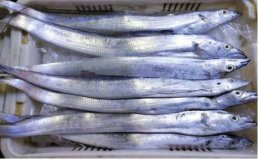 高嘌呤的食物排行榜：帶魚、豬肝位列前兩名