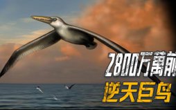 世界上最大的飛鳥(niǎo)：桑氏偽齒鳥(niǎo)翼展長(zhǎng)度達(dá)7.3米