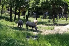 世界十大最佳動(dòng)物園，世界最著名的動(dòng)物園