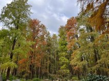 上海值得去的六大公園，上海好玩的公園排行榜